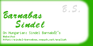 barnabas sindel business card